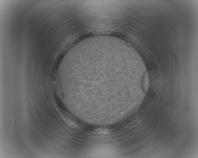 X0000063450742200602171857