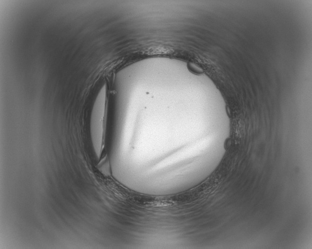 X0000063450743200602171857