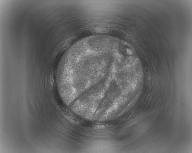 X0000063450746200602171857