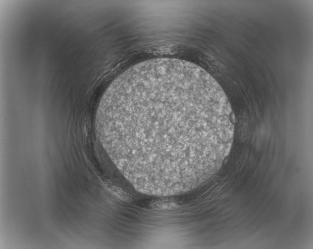 X0000063450747200602171858