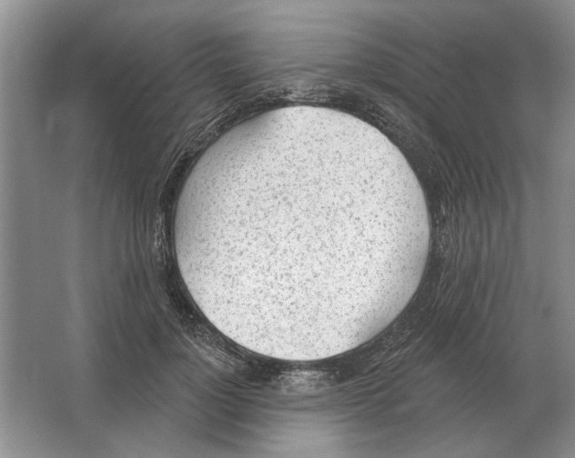 X0000063450748200602171858