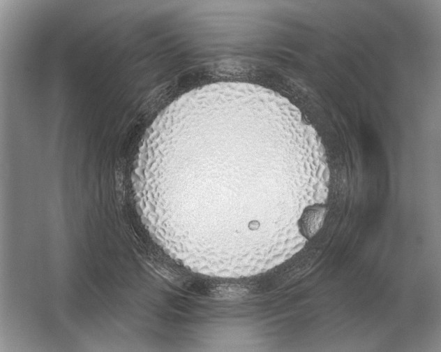 X0000063450749200602171858