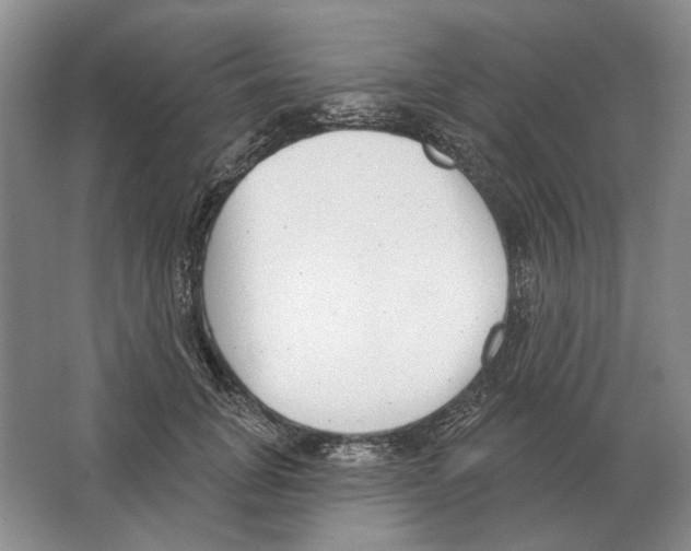 X0000063450751200602171858