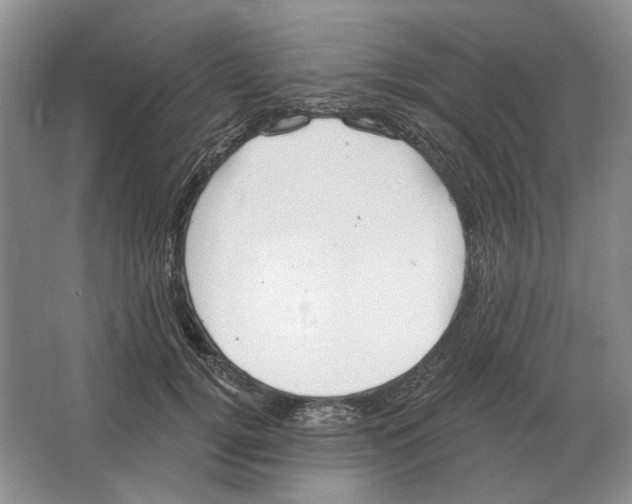 X0000063450752200602171858