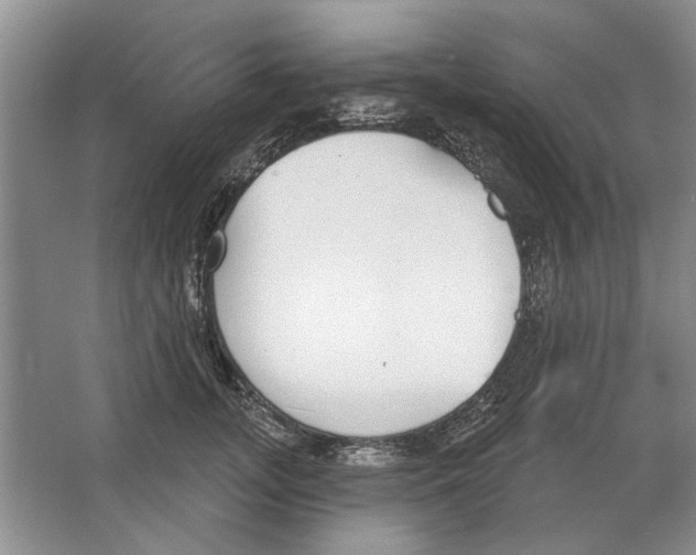 X0000063450755200602171858