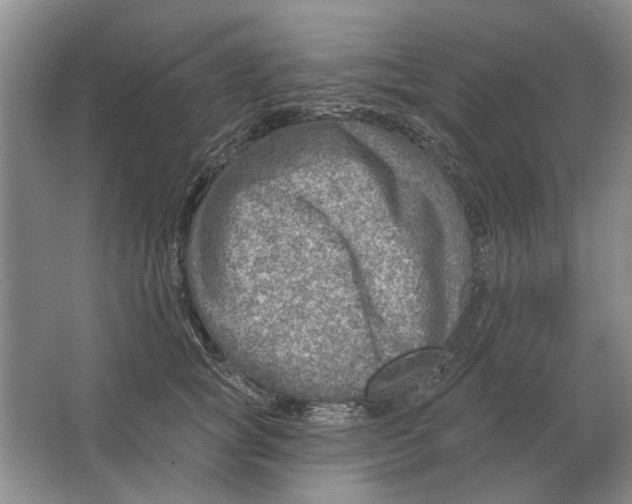 X0000063450757200602171858