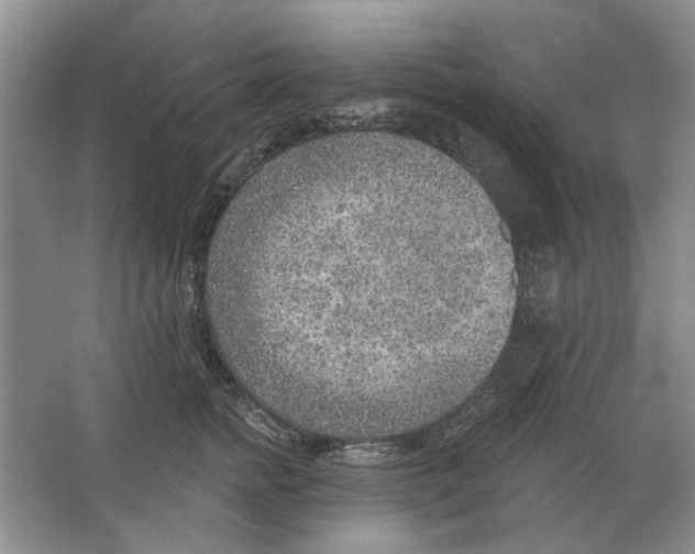 X0000063450758200602171858