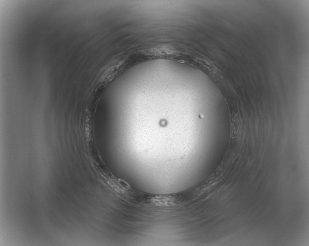 X0000063450762200602171858