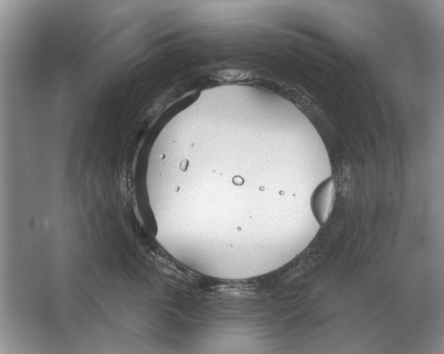 X0000063450763200602171858