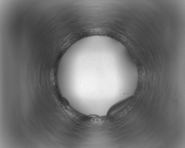 X0000063450764200602171858