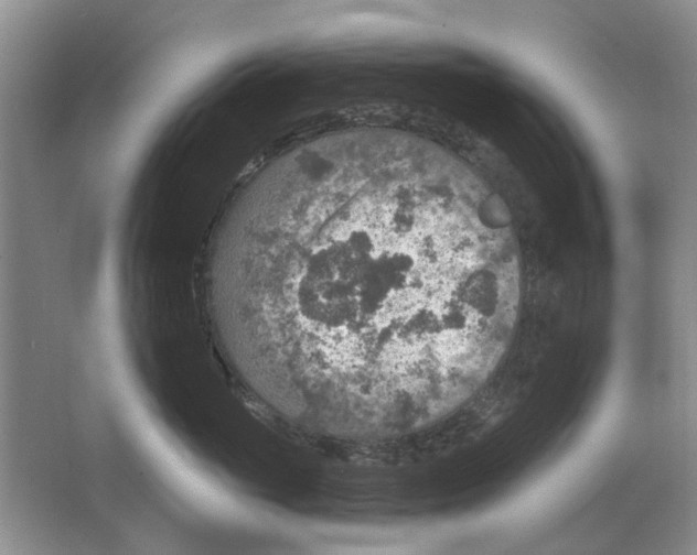 X0000063450765200602171858