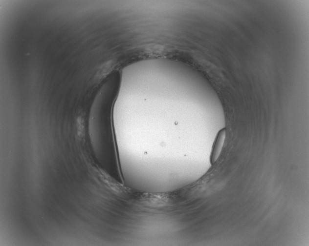 X0000063450768200602171858