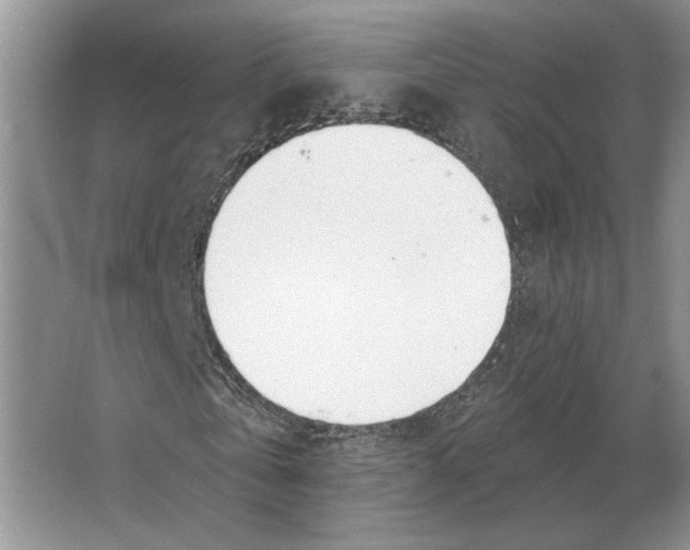 X0000063450769200602171857