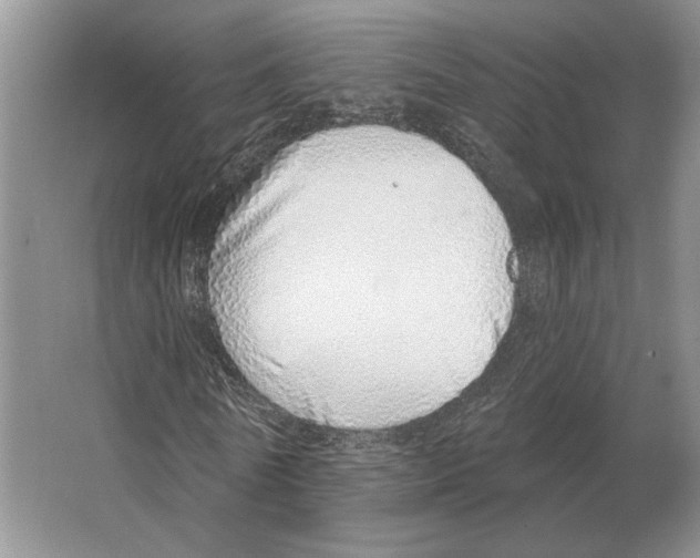 X0000063450770200602171857