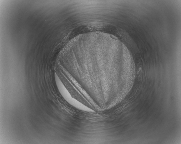 X0000063450772200602171857