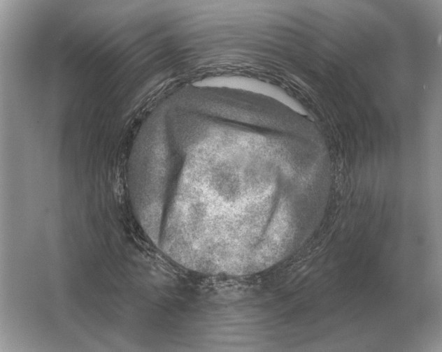 X0000063450774200602171857