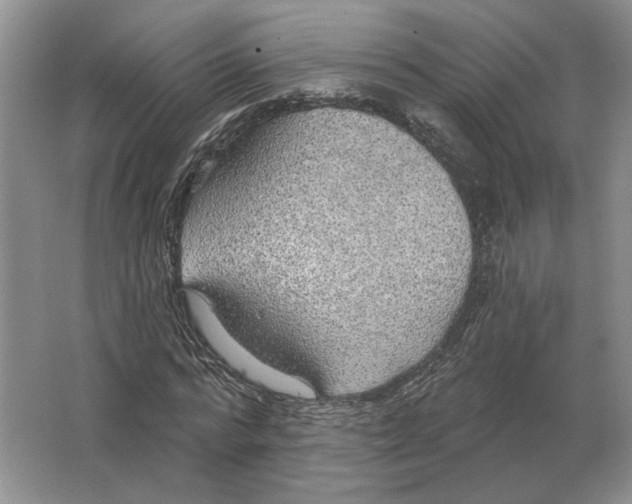 X0000063450776200602171857