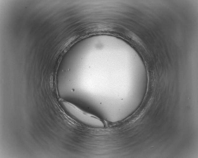 X0000063450777200602171857