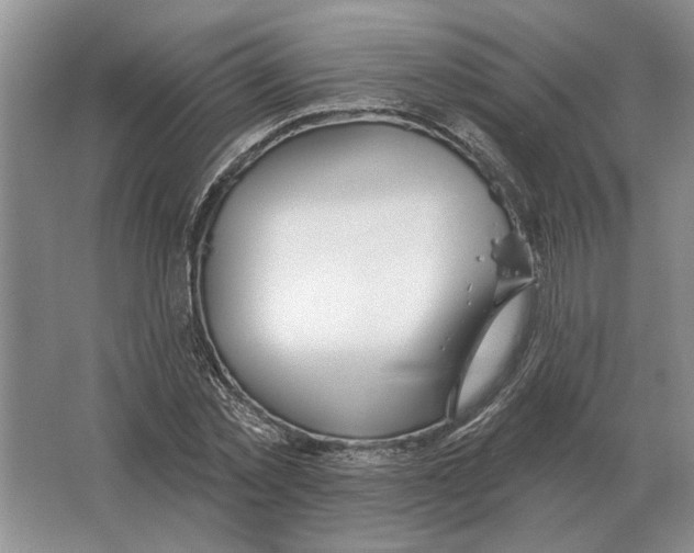 X0000063450781200602171857