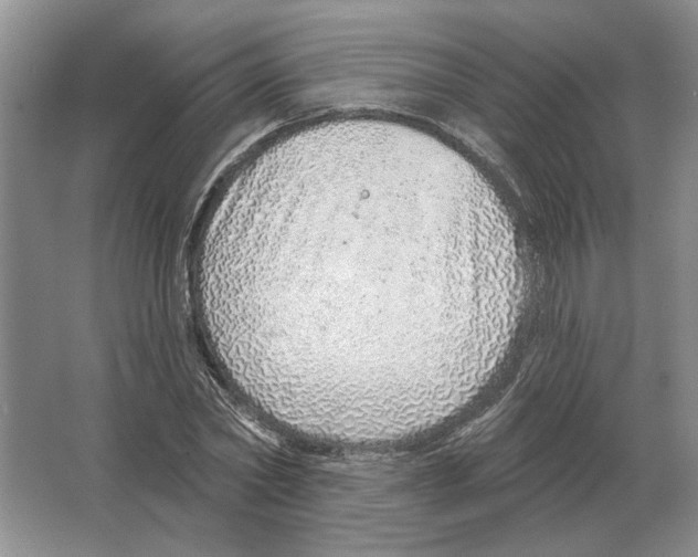 X0000063450782200602171857