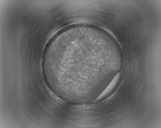 X0000063450783200602171857