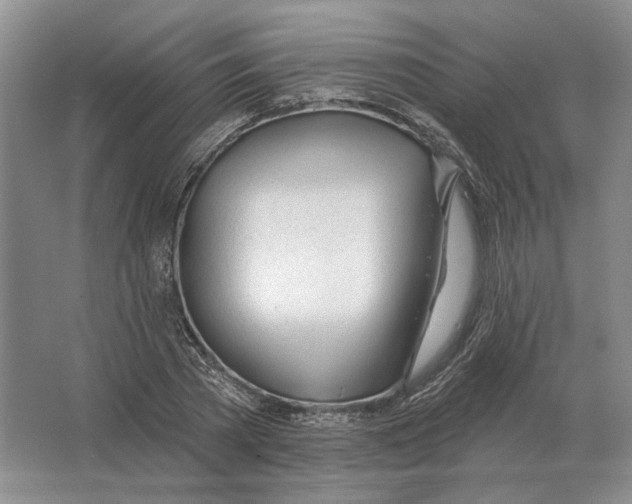 X0000063450785200602171857