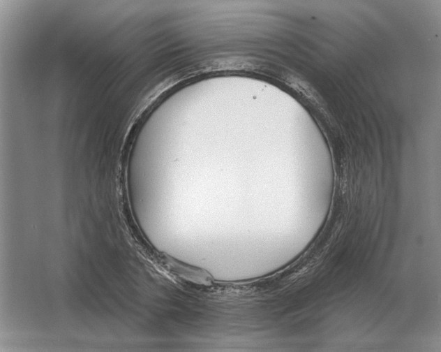 X0000063450786200602171857