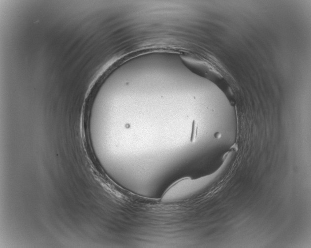 X0000063450788200602171857