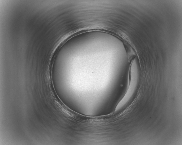 X0000063450789200602171857