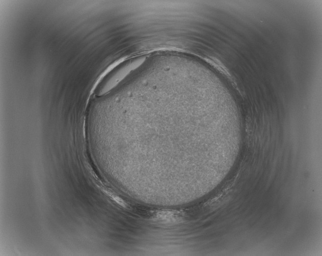 X0000063450790200602171857