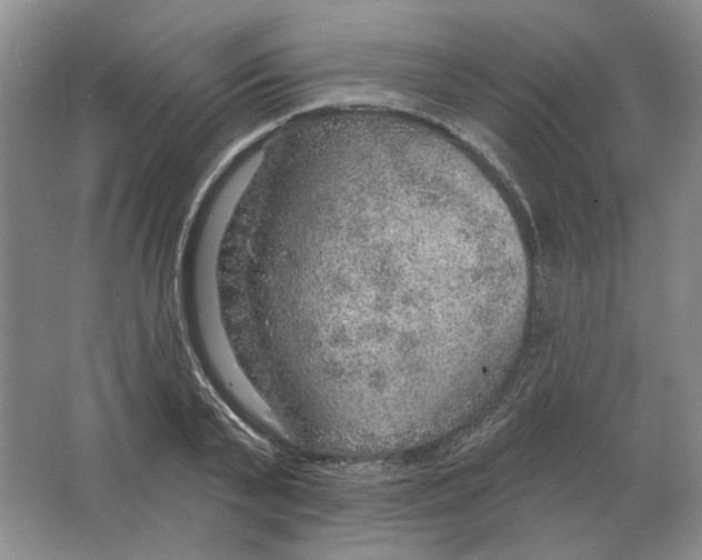 X0000063450791200602171857