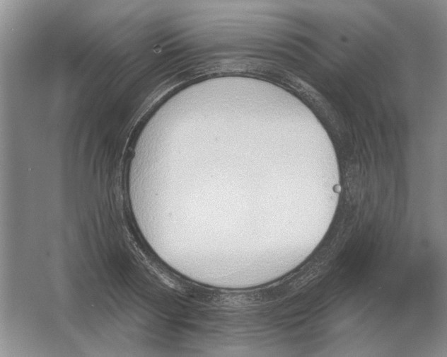 X0000063450794200602171857