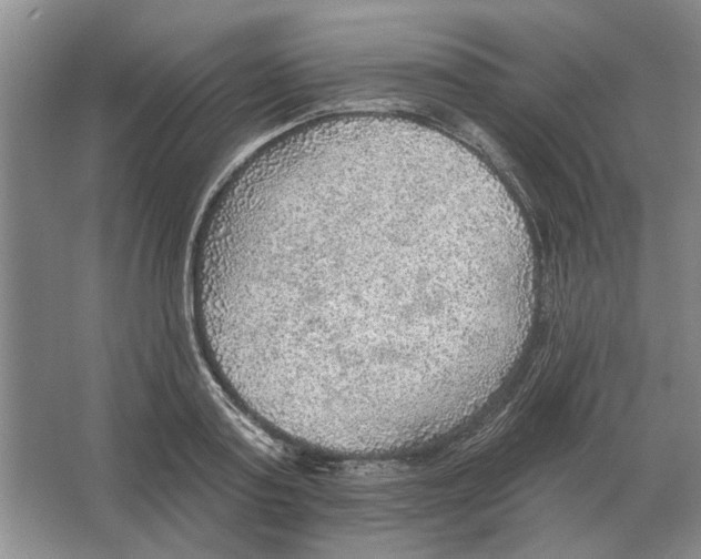 X0000063450795200602171857