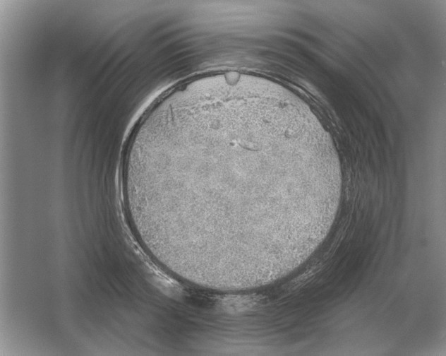 X0000063450796200602171857