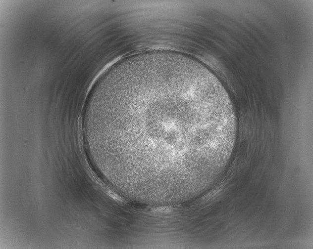 X0000063450798200602171856