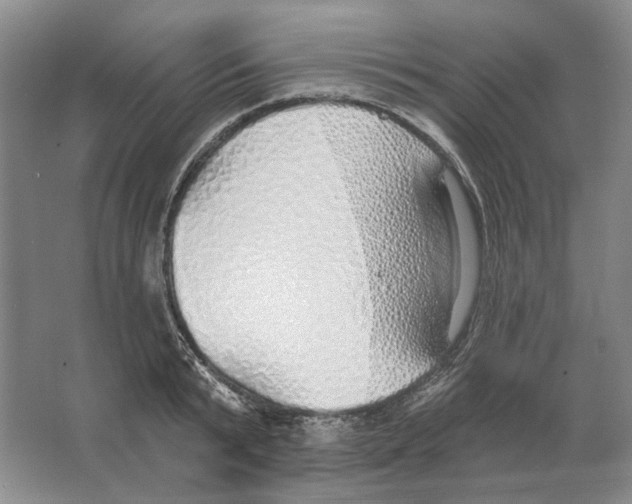 X0000063450799200602171856