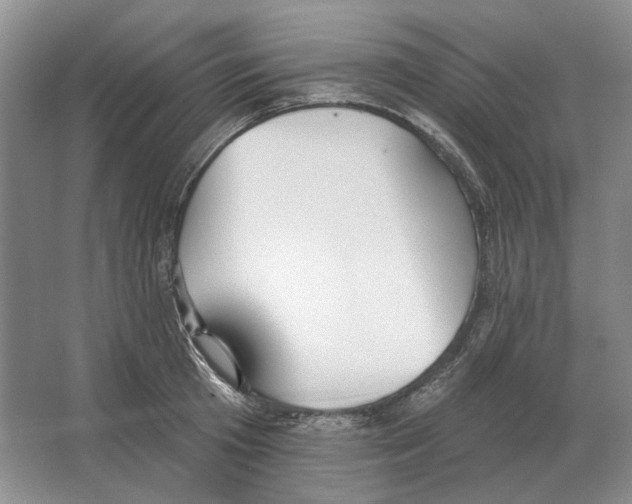 X0000063450801200602171856