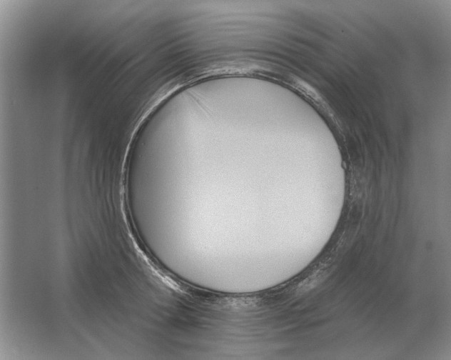 X0000063450802200602171856