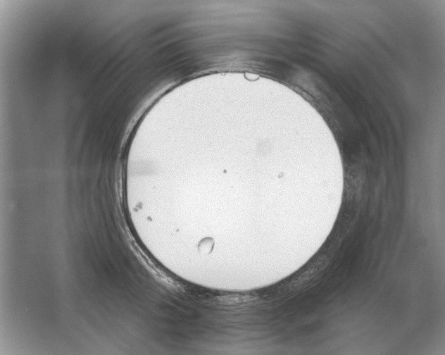 X0000063450804200602171856