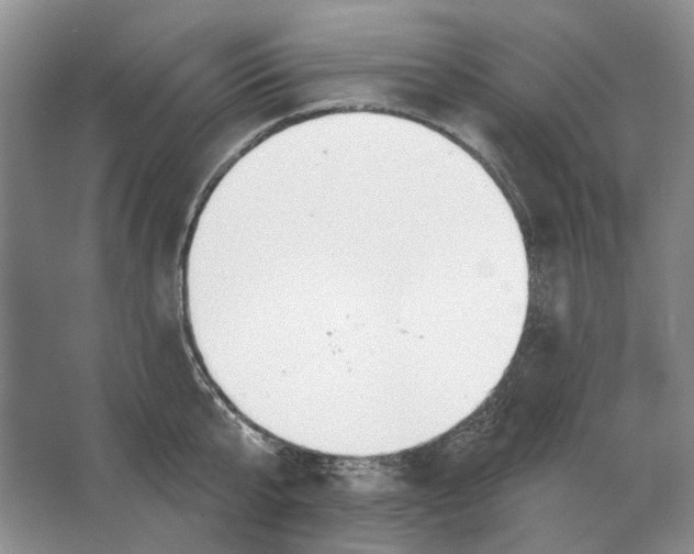 X0000063450807200602171856