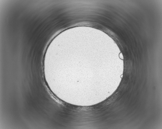 X0000063450808200602171856