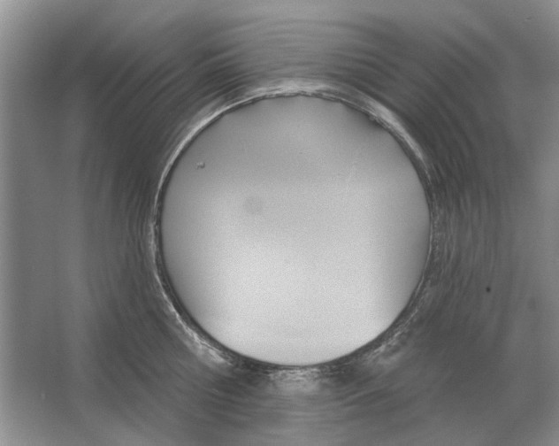 X0000063450810200602171856