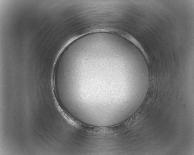 X0000063450811200602171856