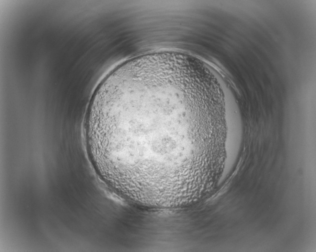 X0000063450814200602171856