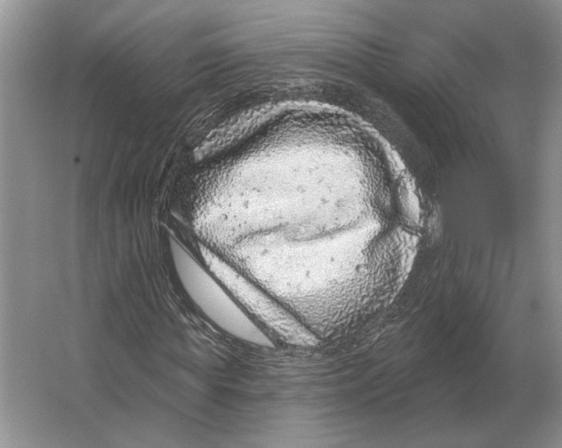 X0000063450819200602171855