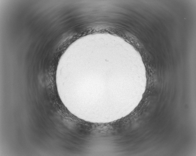 X0000063450824200602171855