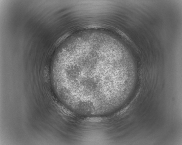 X0000063450825200602171855