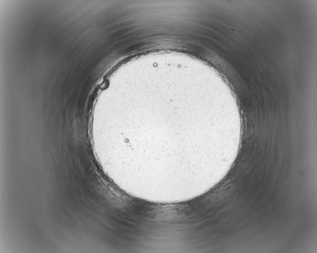 X0000063450828200602171855