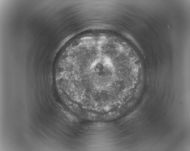 X0000063450829200602171855