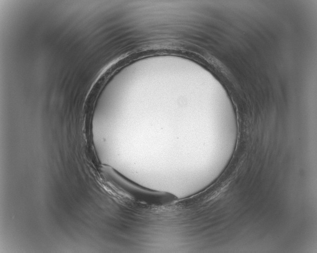 X0000063450830200602171856